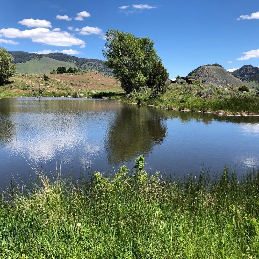 Meet your Posher, Lacy